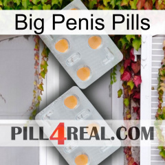 Big Penis Pills 25